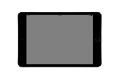 iPad mini 4