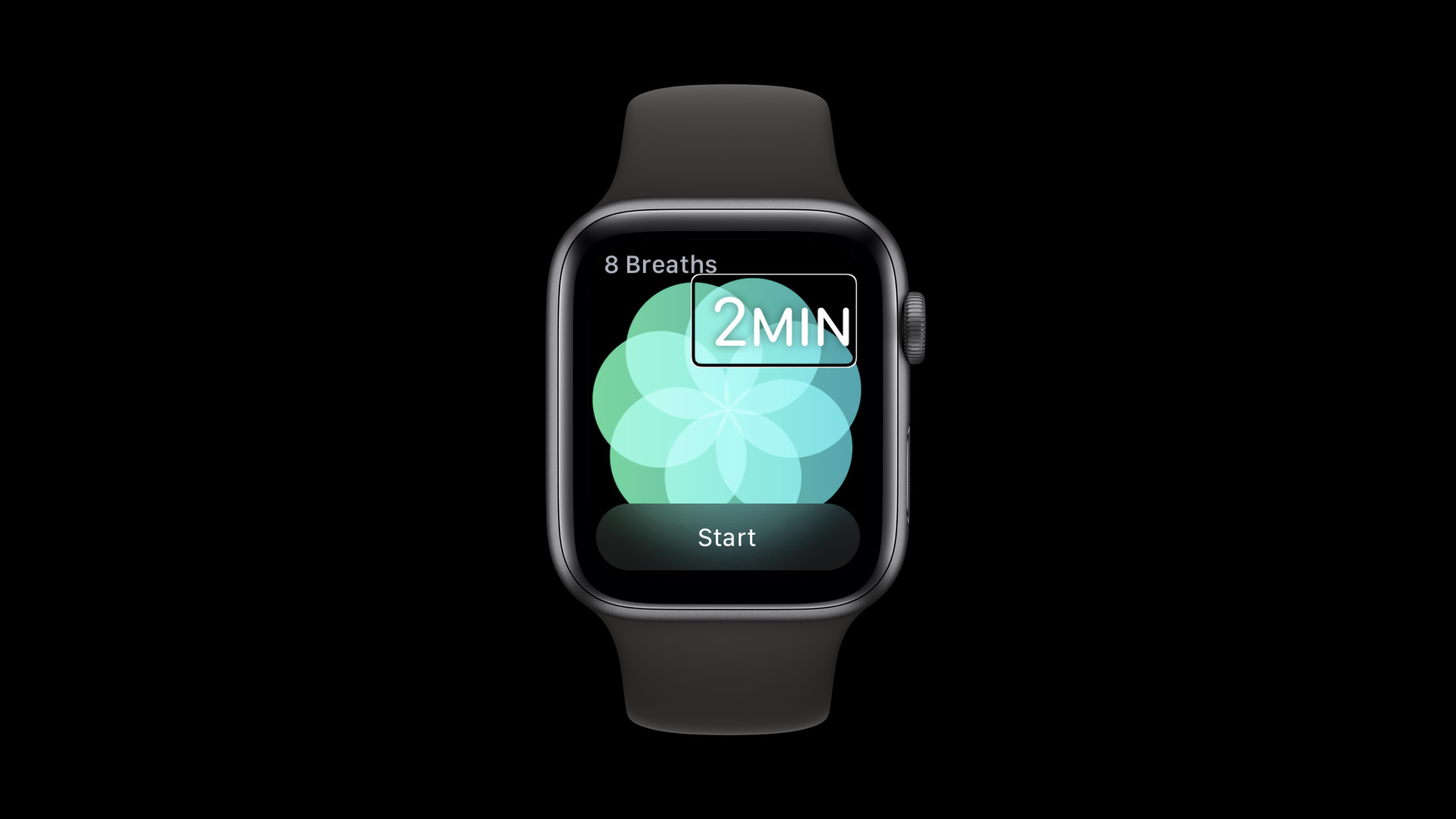 app para apple watch