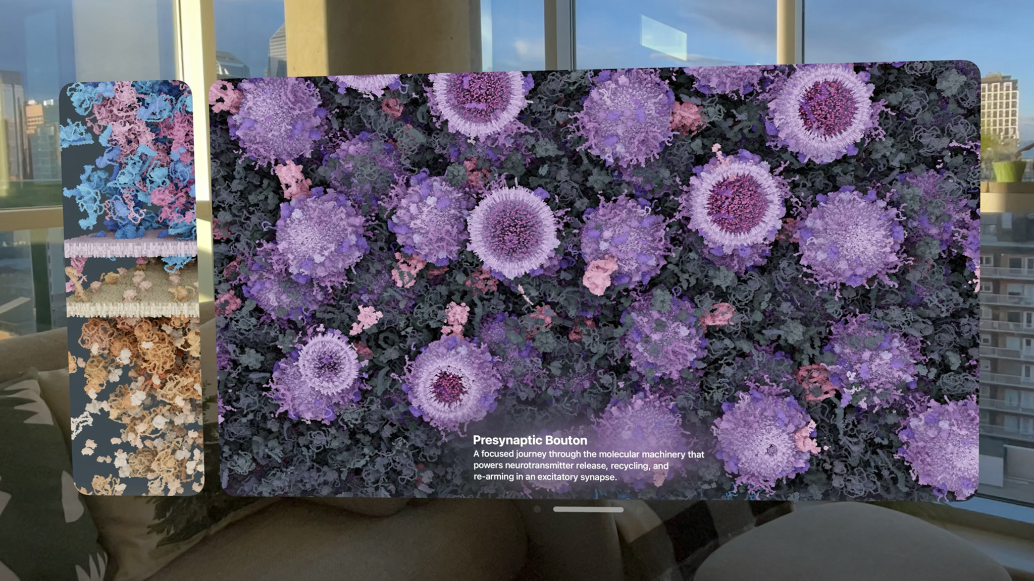 An Apple Vision Pro spatial display shows a large cinematic panel filled edge-to-edge with a densely packed, top-down view of purple synaptic vesicles, each rendered as a circular bloom with a dark magenta core. A caption at the bottom of the panel reads "Presynaptic Bouton" with a subtitle describing the molecular machinery of neurotransmitter release. A narrow vertical thumbnail strip on the left shows additional views of the molecular model at different scales and angles.