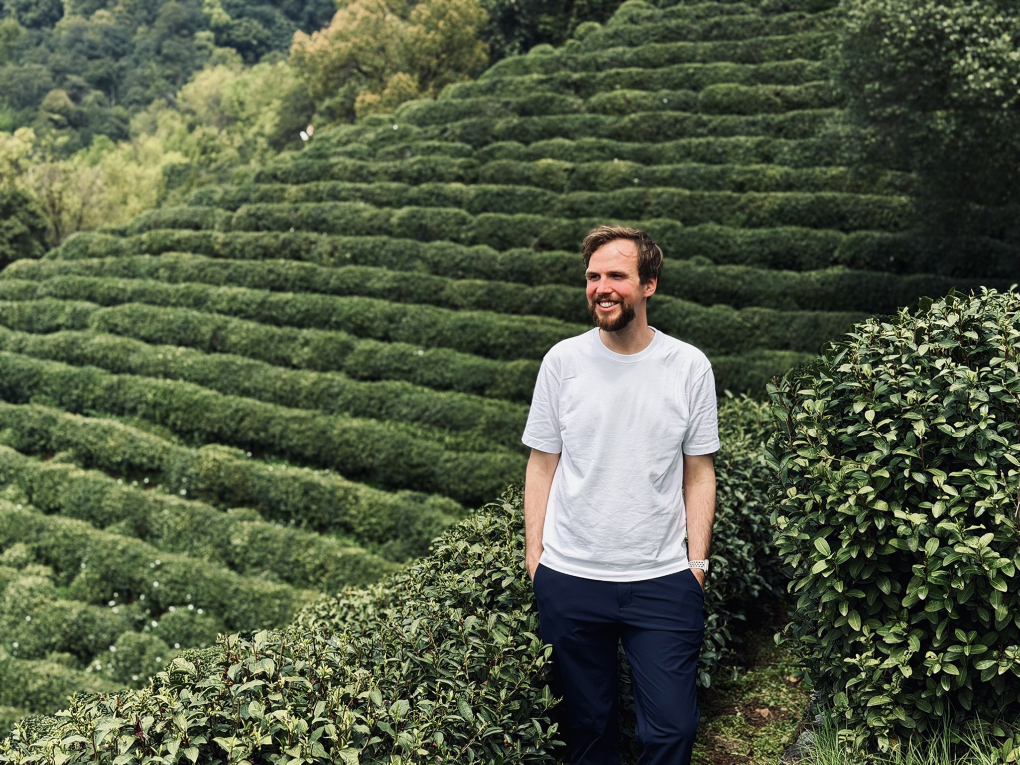 A smiling man with a beard, wearing a white t-shirt and dark trousers, stands with his hands in his pockets amidst a lush green tea plantation. The background features steep, neatly terraced rows of tea bushes rising up a hillside under a soft, overcast sky.