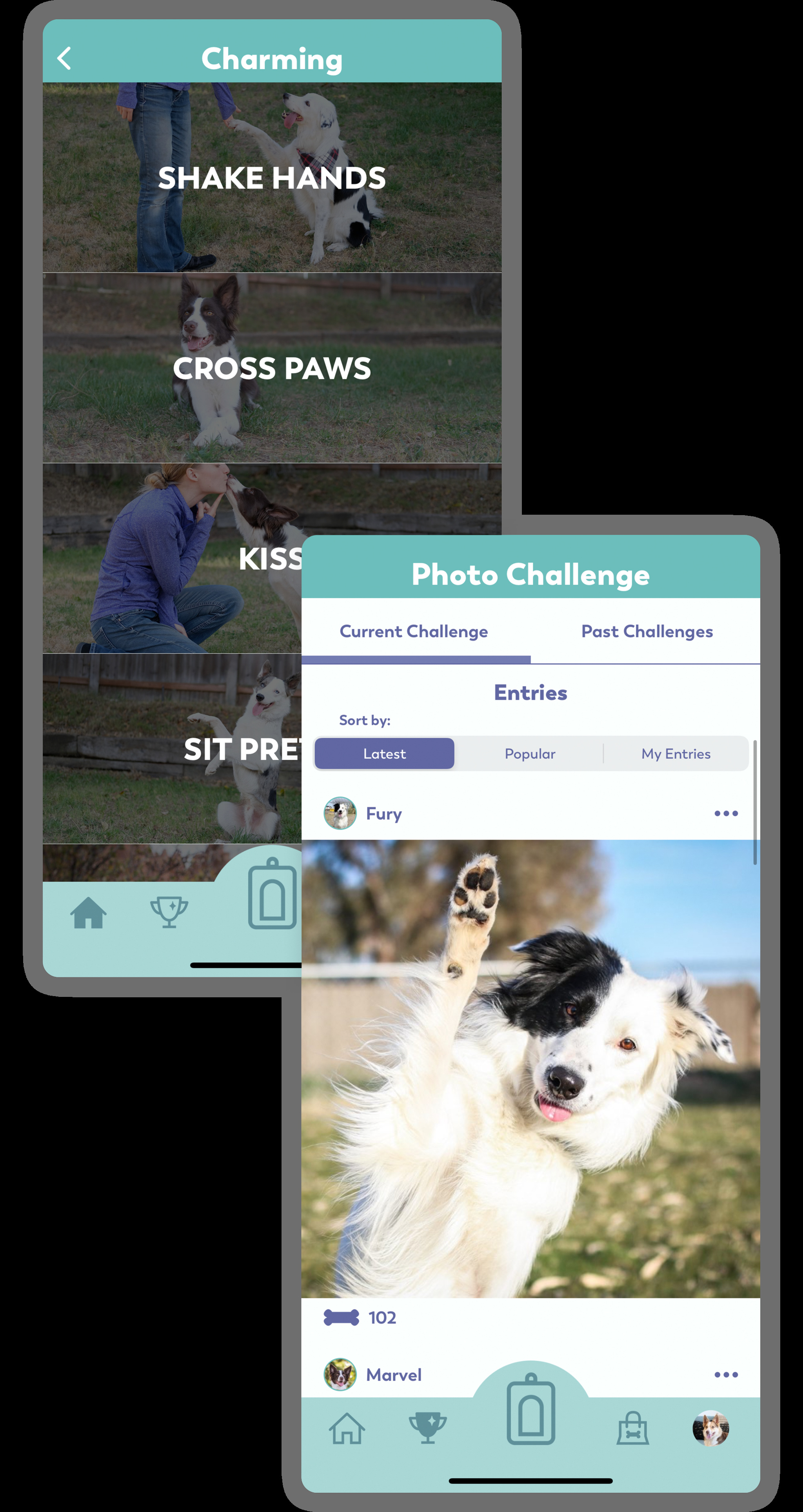 Puppr can help teach your pet to shake hands, cross paws, and maybe even say hi.