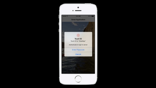 Keychain and Authentication with Touch ID