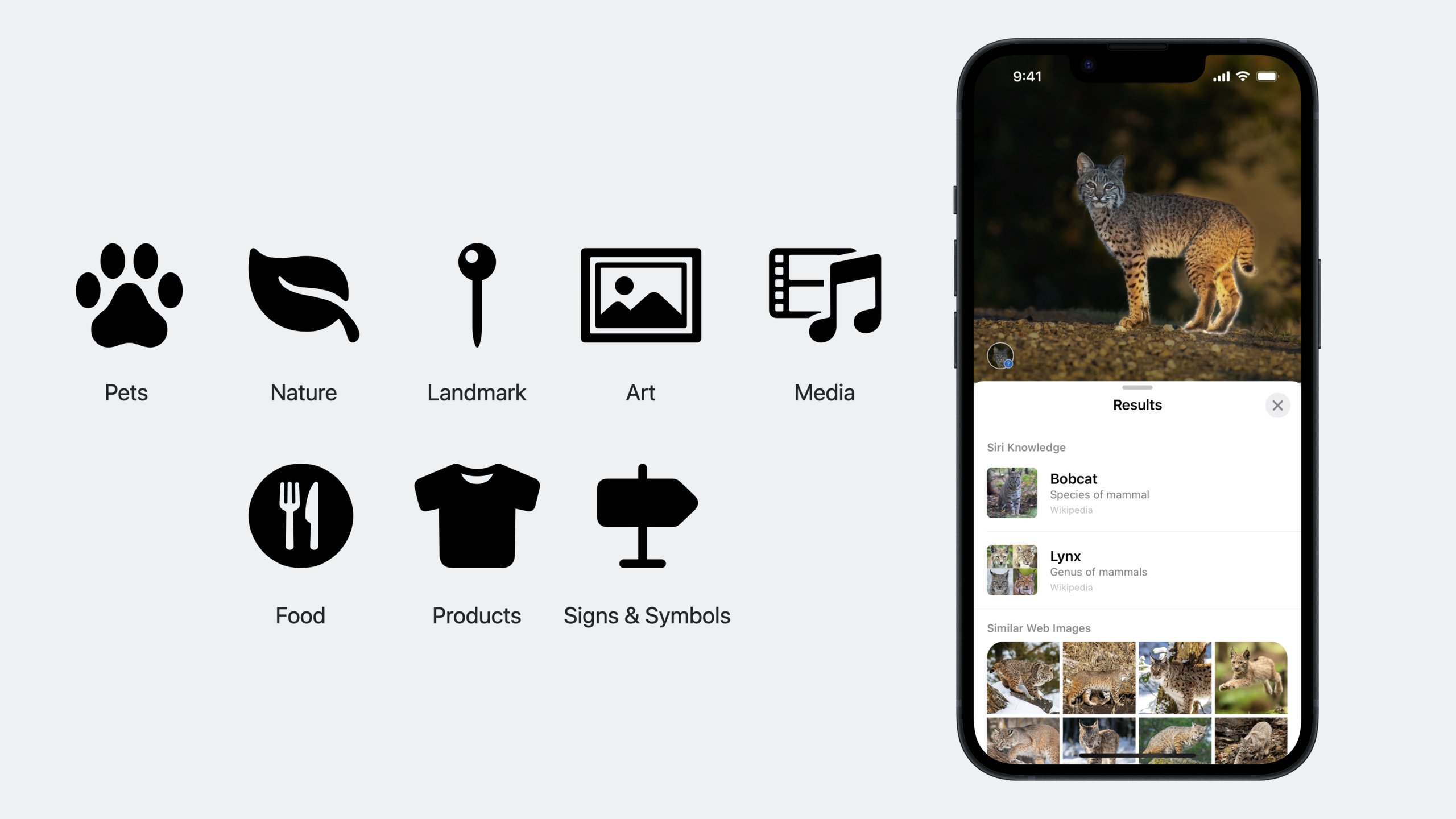 What's new in VisionKit